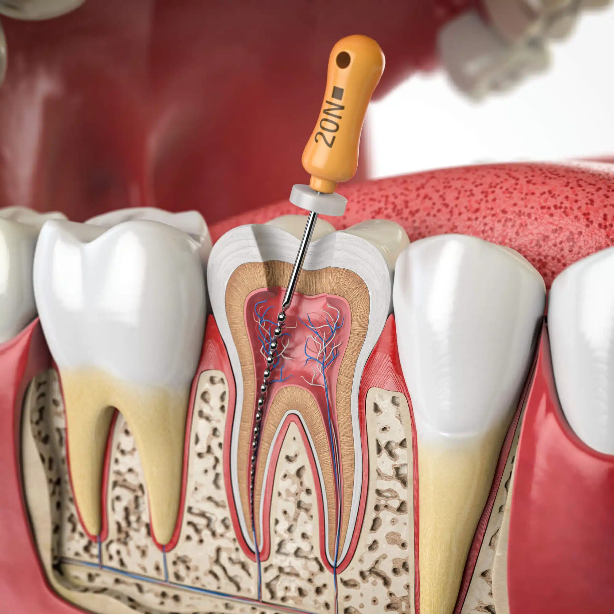 3D Illustration by a dentist in brownstown